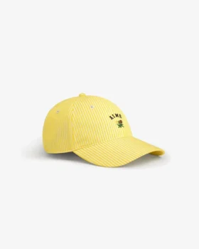 Striped Crest Logo Hat