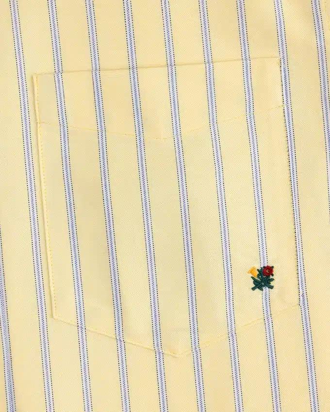 Yarn Dyed Striped Crest Shirt