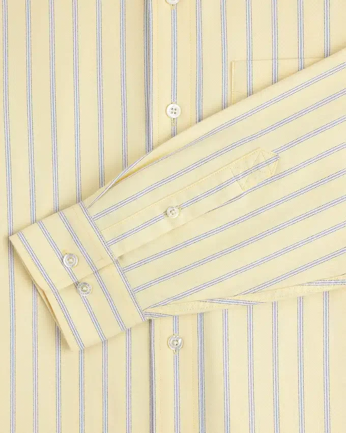 Yarn Dyed Striped Crest Shirt