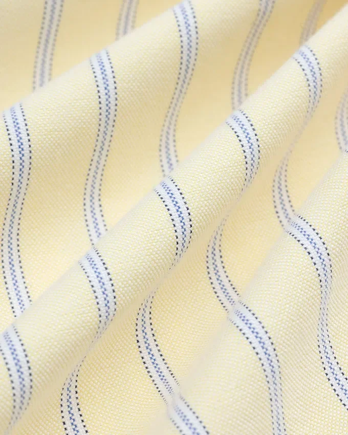 Yarn Dyed Striped Crest Shirt